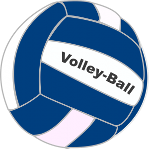 Image is of a blue and white volleyball.