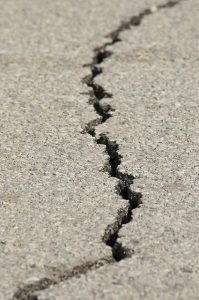 Image is a crack in the asphalt.