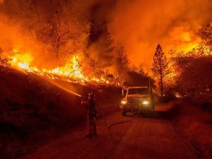 Image is of a wildfire with firefighter and truck.