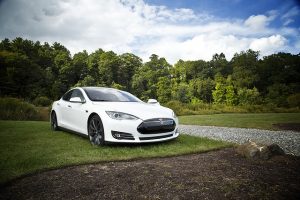 Image is a Tesla on a lawn.