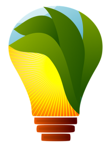 Image is a lightbulb with a plant and sun ray inside meant to symbolize sustainability.