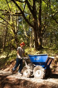 Image is a male construction worker building a trail in the woods.
