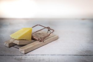 Image is a mouse trap with a yellow piece of cheese on it.