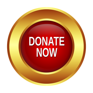 Image is a Donate Now button.