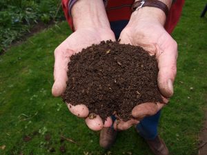 Image is a man holding fresh compost in his outstretched hands.